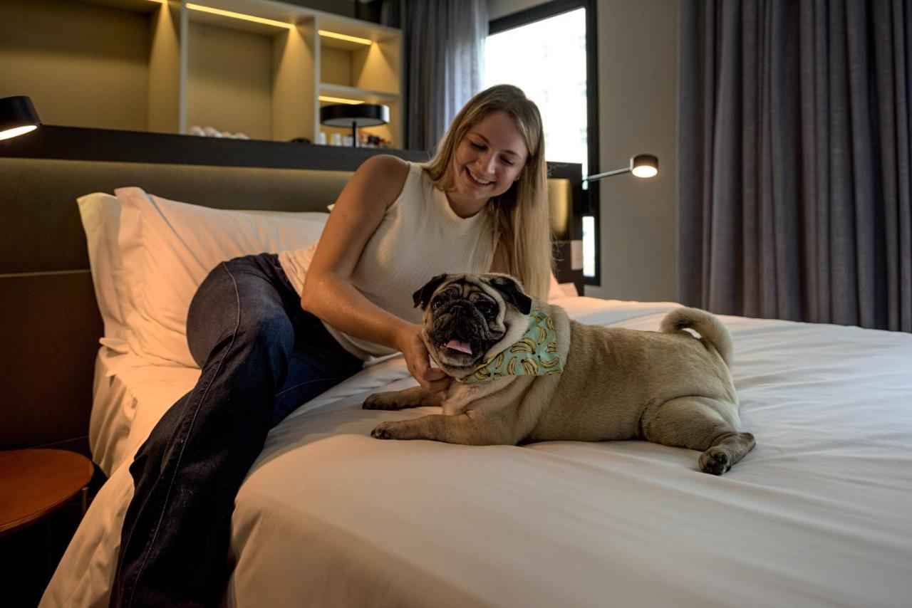Novotel Sp Jardins São Paulo Zewnętrze zdjęcie